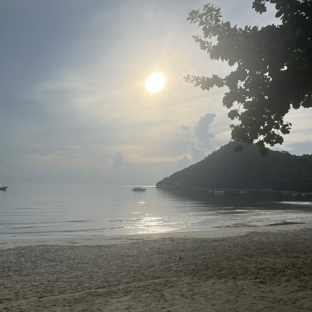 L&rsquo;accompagnement des TCA en thérapie ACT